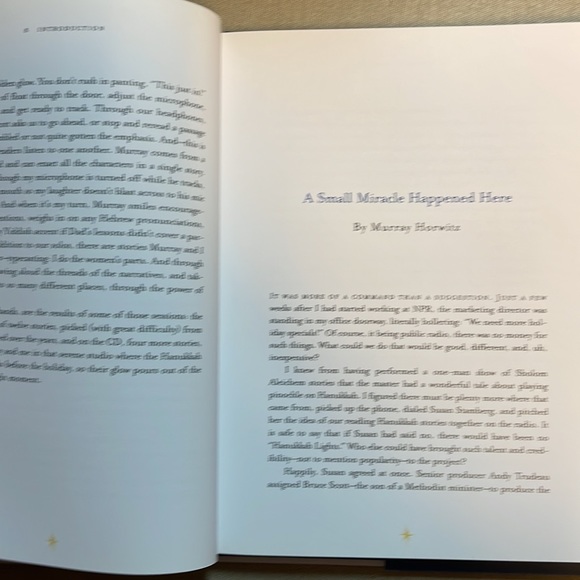 🌈2/$8  Hanukkah Lights: Stories of the Season - Picture 10 of 13